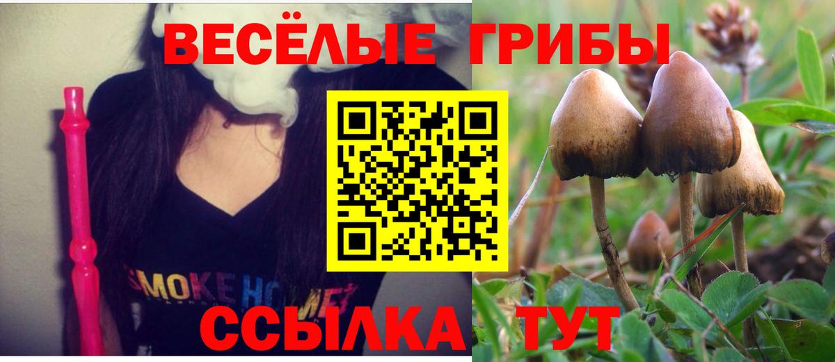 Волоколамск  Псилоцибиновые грибы Magic Shrooms  Псилоцибиновые грибы Psilocybine cubensis  Вход с VPN 