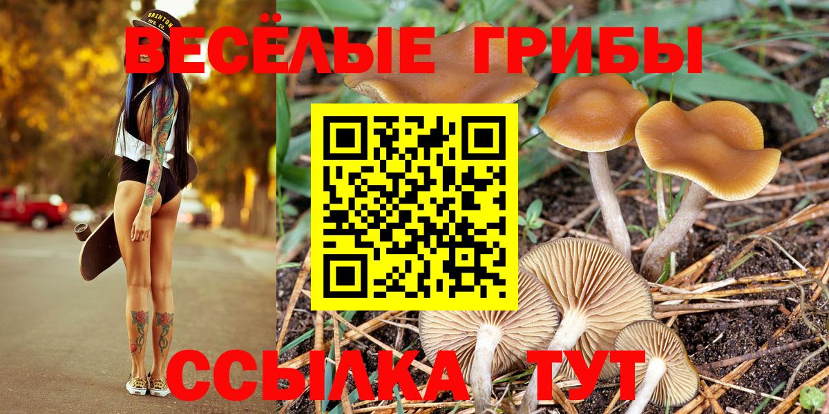 Псилоцибиновые грибы Magic Shrooms Волоколамск